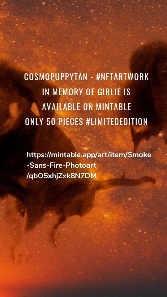 Cosmopuppytan - #NFTartwork in memory of Girlie is available on Mintable Only 50 pieces #limitededition https://mintable.app/art/item/Smoke-Sans-Fire-Photoart/qbO5xhjZxk8N7DM