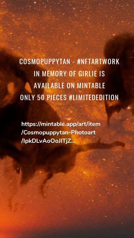 Cosmopuppytan - #NFTartwork in memory of Girlie is available on Mintable
Only 50 pieces #limitededition https://mintable.app/art/item/Cosmopuppytan-Photoart/IpkDLvAoOoJlTjZ…